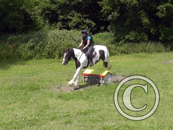 06-28-2015_095648(2)