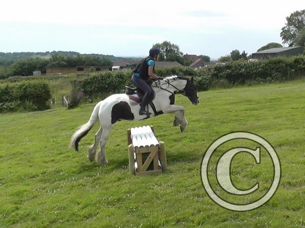 06-28-2015_103700(1)