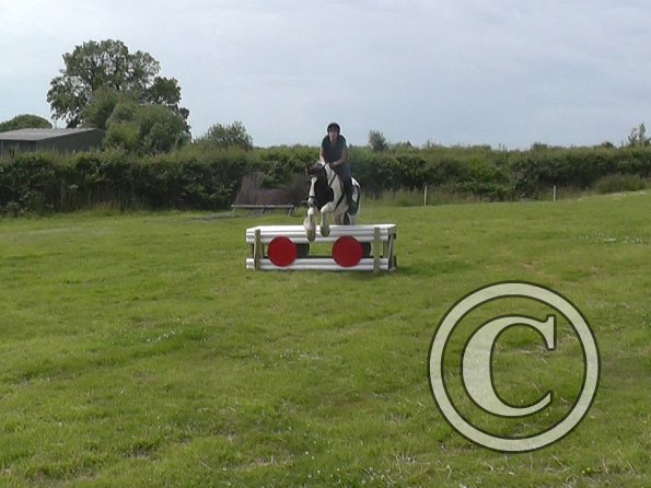 06-28-2015_103700(2)