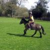 Appley and Lance XC April 2015 (18)
