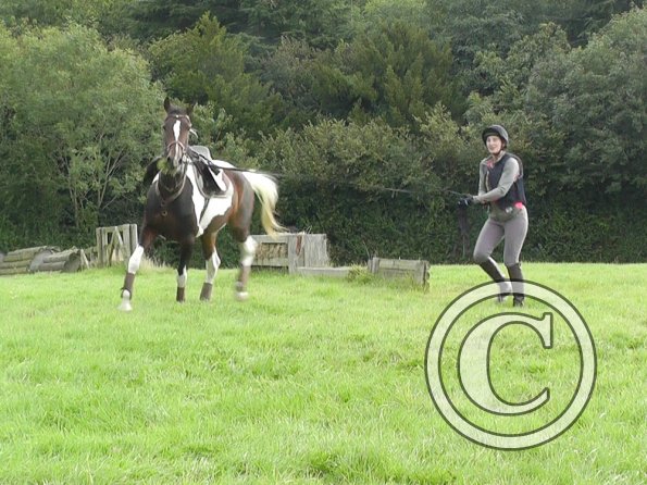 09-05-2015_100707(2)