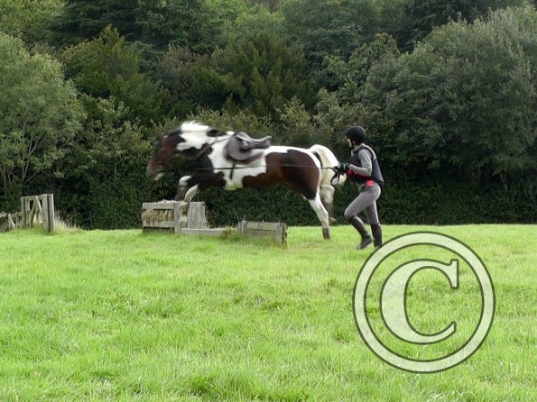 09-05-2015_100707(3)