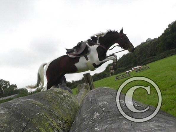 09-05-2015_101506(1)