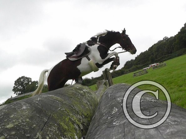 09-05-2015_101506(2)