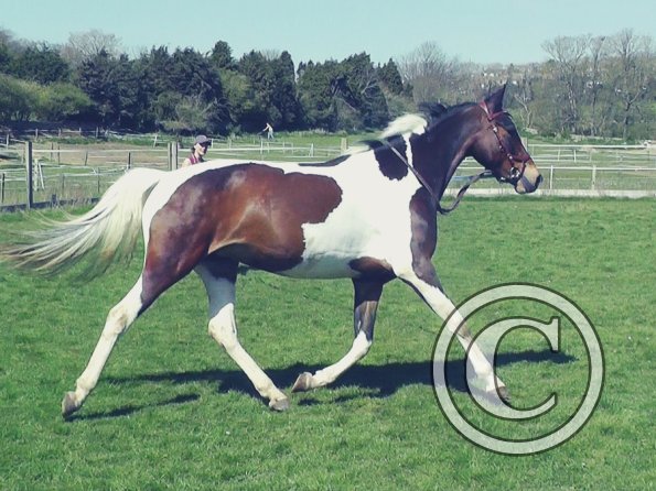 04-14-2015_123808 (2)