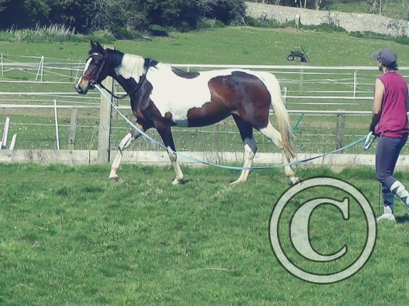 04-14-2015_123808(3)