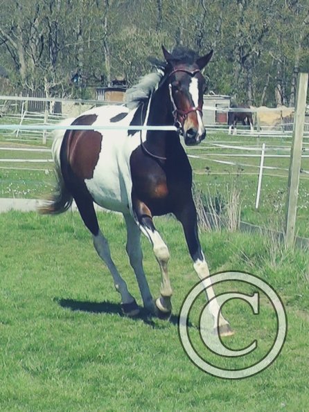 04-14-2015_124241(1)