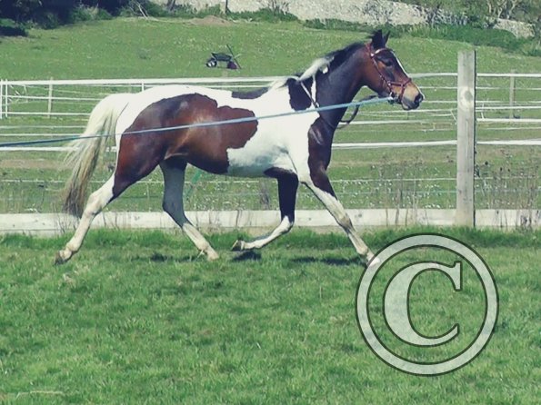 04-14-2015_124241(2)