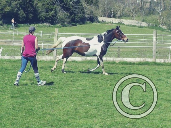 04-14-2015_124241(4)