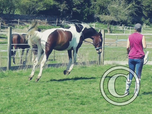 04-14-2015_124241(7)