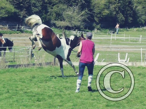 04-14-2015_124241(9)