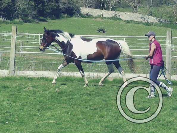 04-14-2015_124537(1)