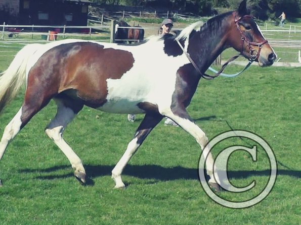 04-14-2015_124537(3)