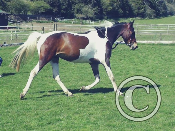 04-14-2015_125519(1)