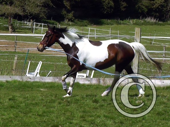 04-15-2015_124805(1)