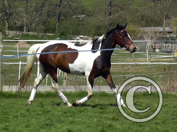 04-15-2015_125203(1)