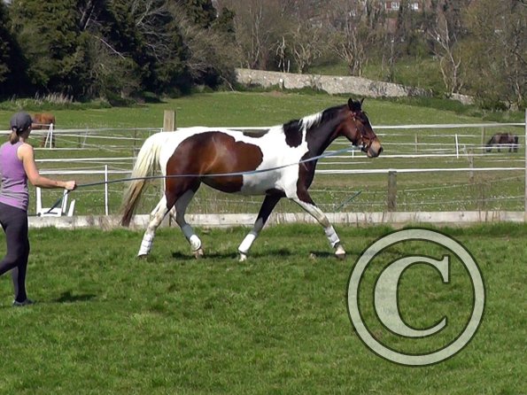 04-15-2015_125203(2)