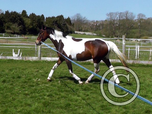 04-15-2015_125649(1)