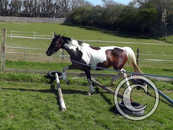 04-15-2015_125649(2)