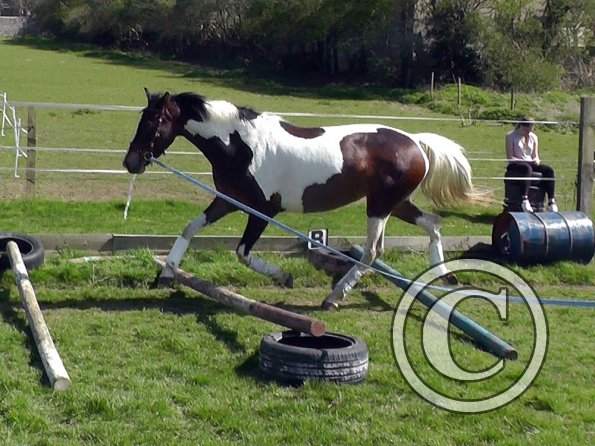 04-15-2015_125649(3)