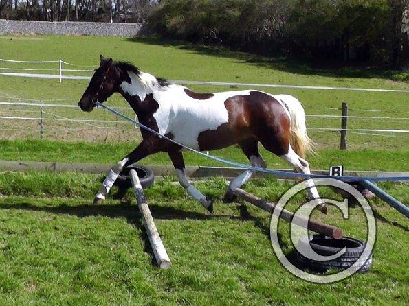 04-15-2015_125649(4)