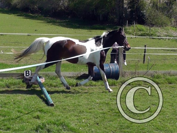 04-15-2015_125817(1)