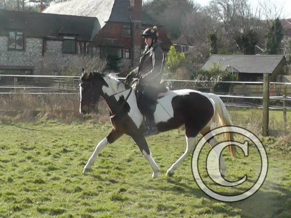 02-08-2015_122636(3)