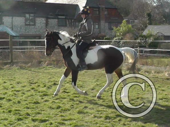 02-08-2015_122636(8)