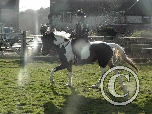 02-08-2015_122636(9)