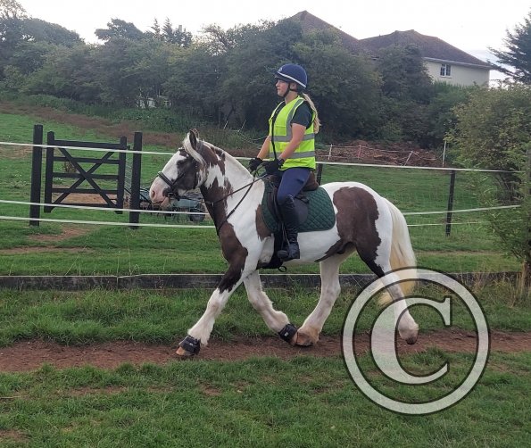 304054118_787734082426481_1149914112076836025_n