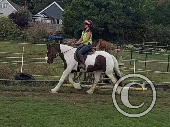 VideoCapture_20220904-095427