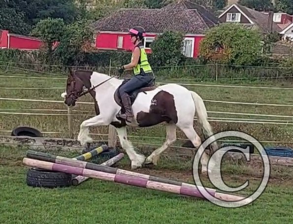 VideoCapture_20220904-115916