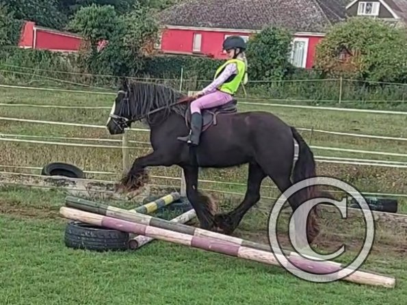 VideoCapture_20220904-115936