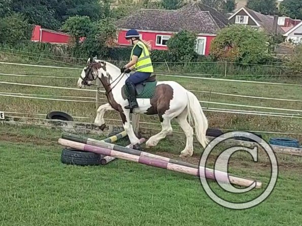 VideoCapture_20220904-115953