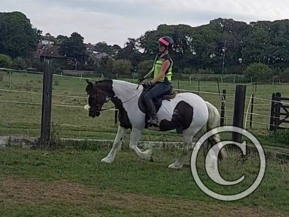 VideoCapture_20220904-120005