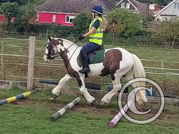 VideoCapture_20220904-120109