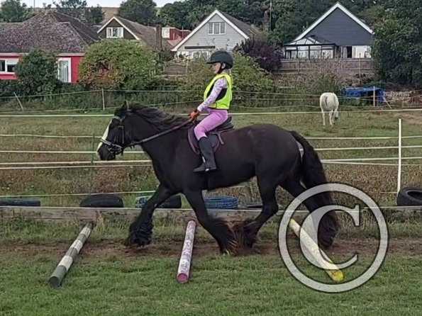 VideoCapture_20220904-120129