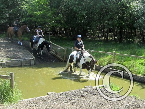 Day at Hurstwood (10)