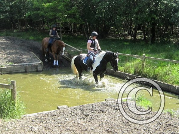 Day at Hurstwood (11)