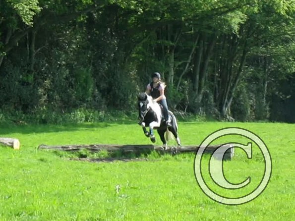 Day at Hurstwood (12)