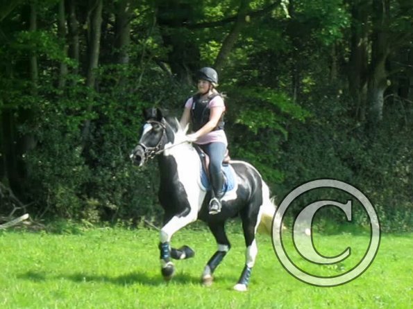 Day at Hurstwood (13)