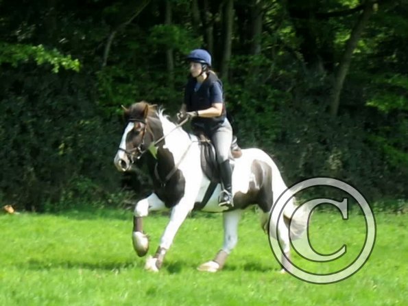 Day at Hurstwood (15)