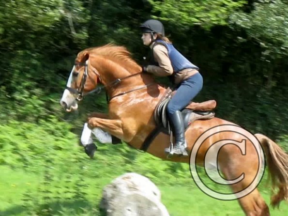 Day at Hurstwood (16)