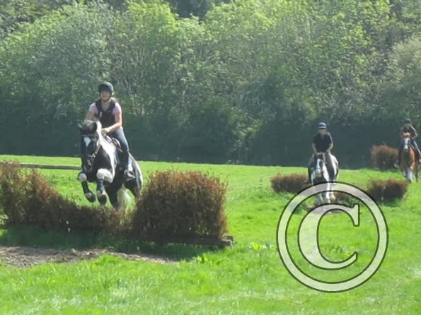 Day at Hurstwood (17)