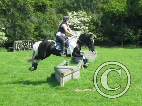 Day at Hurstwood (18)