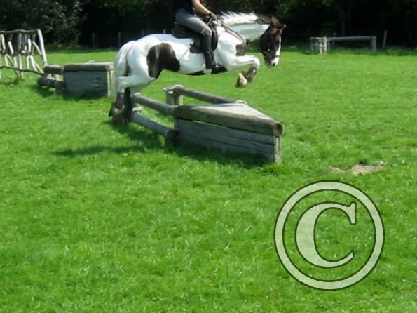 Day at Hurstwood (19)