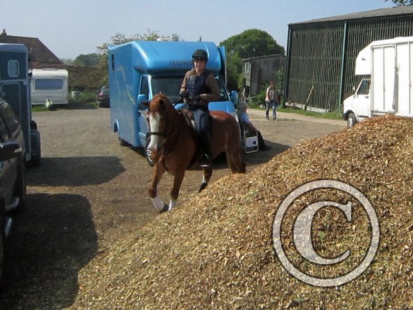 Day at Hurstwood (2)