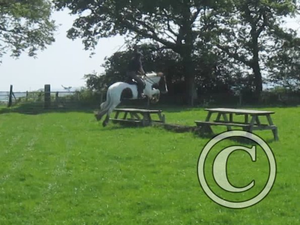 Day at Hurstwood (20)