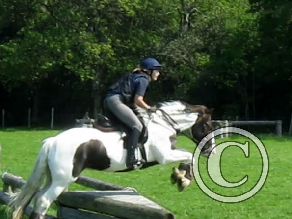 Day at Hurstwood (21)