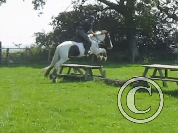 Day at Hurstwood (22)